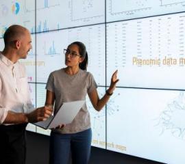 Facultad de Ingeniería, Minor, Prorrectoría, Ciencia de Datos