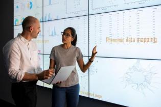 Facultad de Ingeniería, Minor, Prorrectoría, Ciencia de Datos